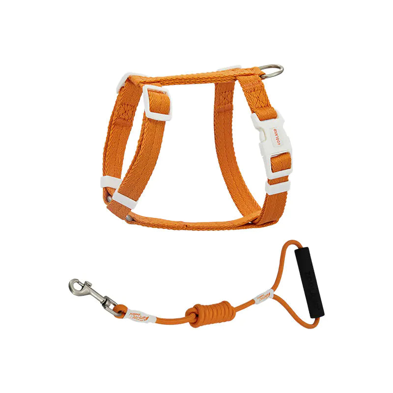 Anti-Breakaway Pet Harness & Leash Set