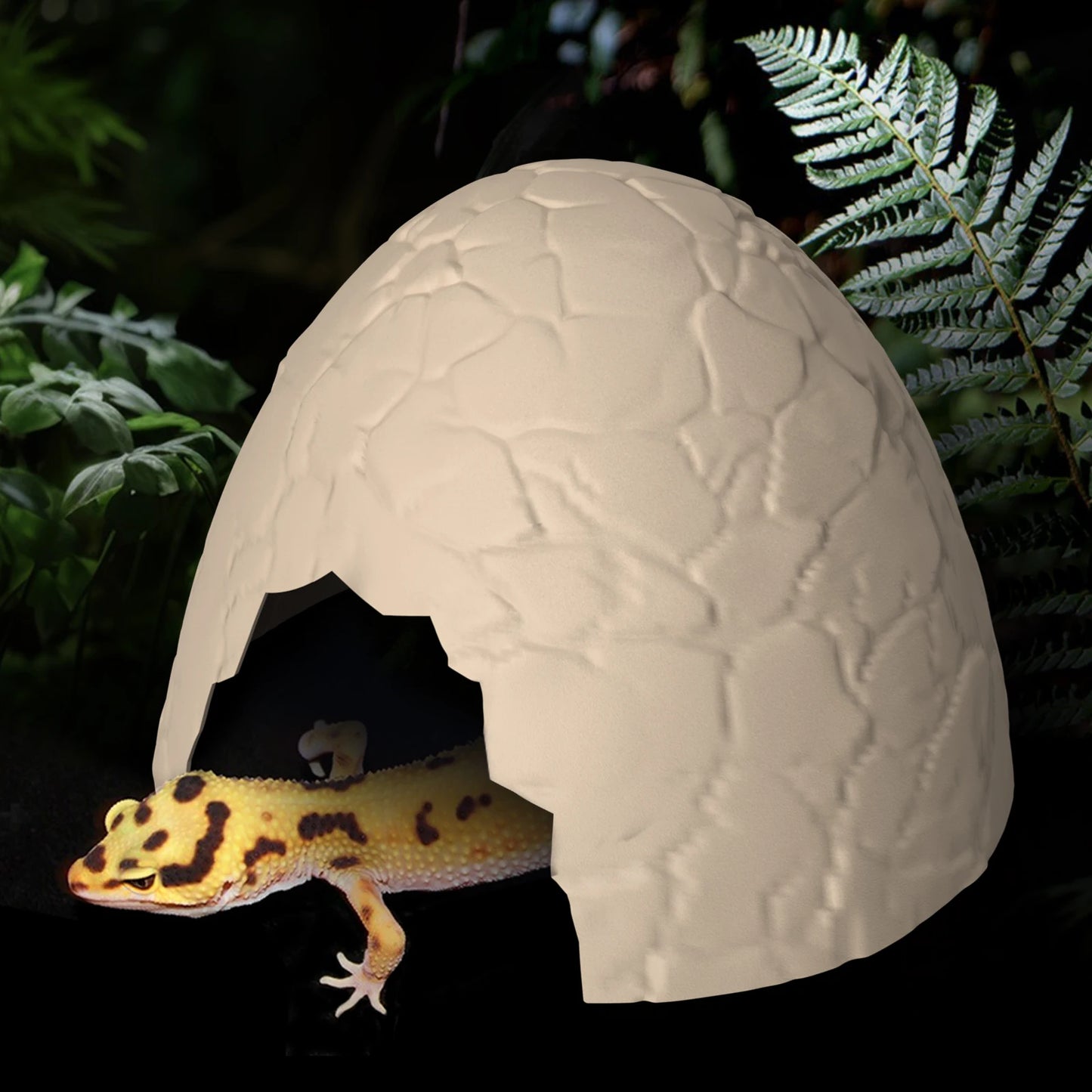 Eggshell Reptile Hideout