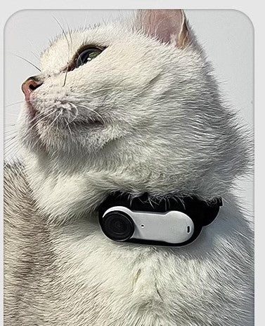 Pet Camera Collar