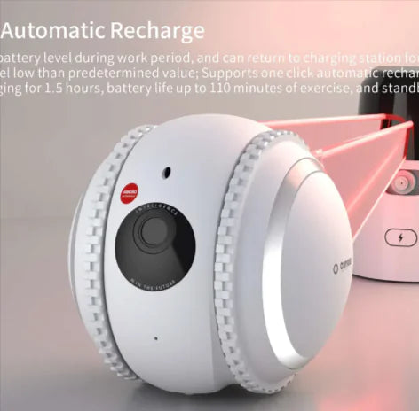 SmartPet Auto Teasing Toy