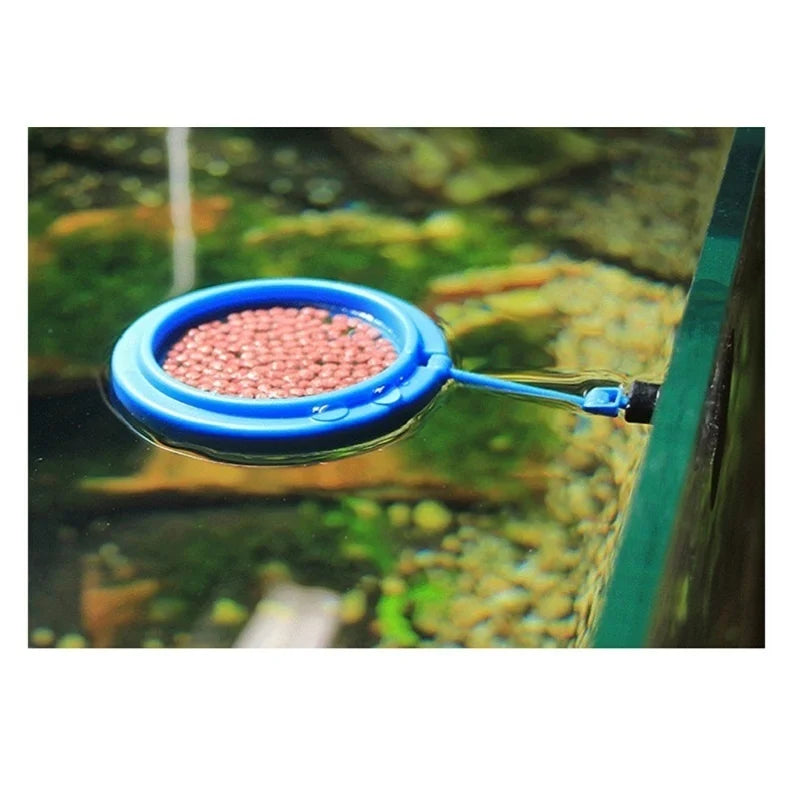 Floating Aquarium Feeding Ring