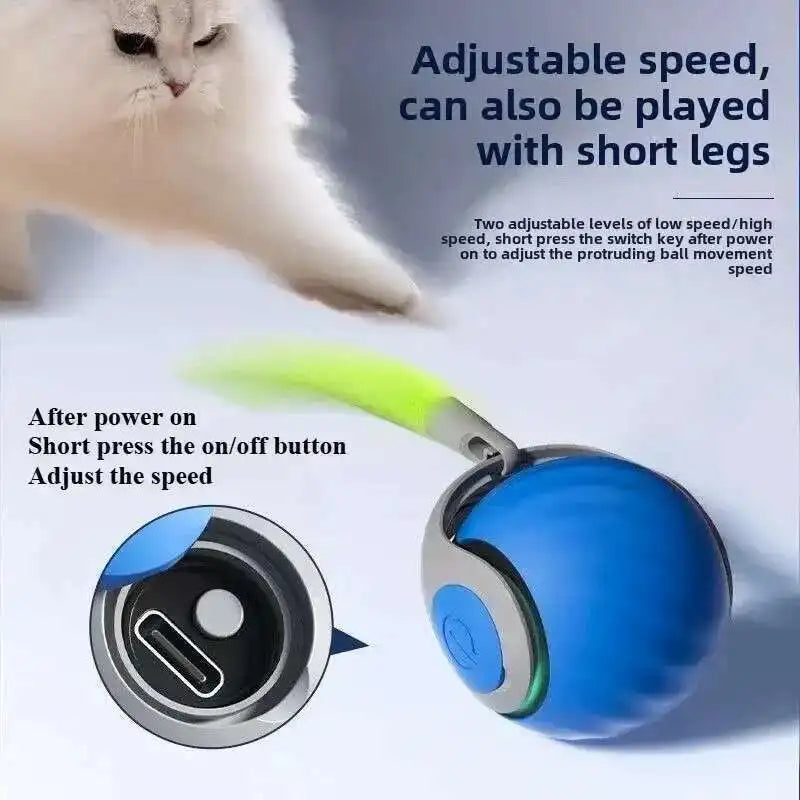 Smart Interactive Pet Ball