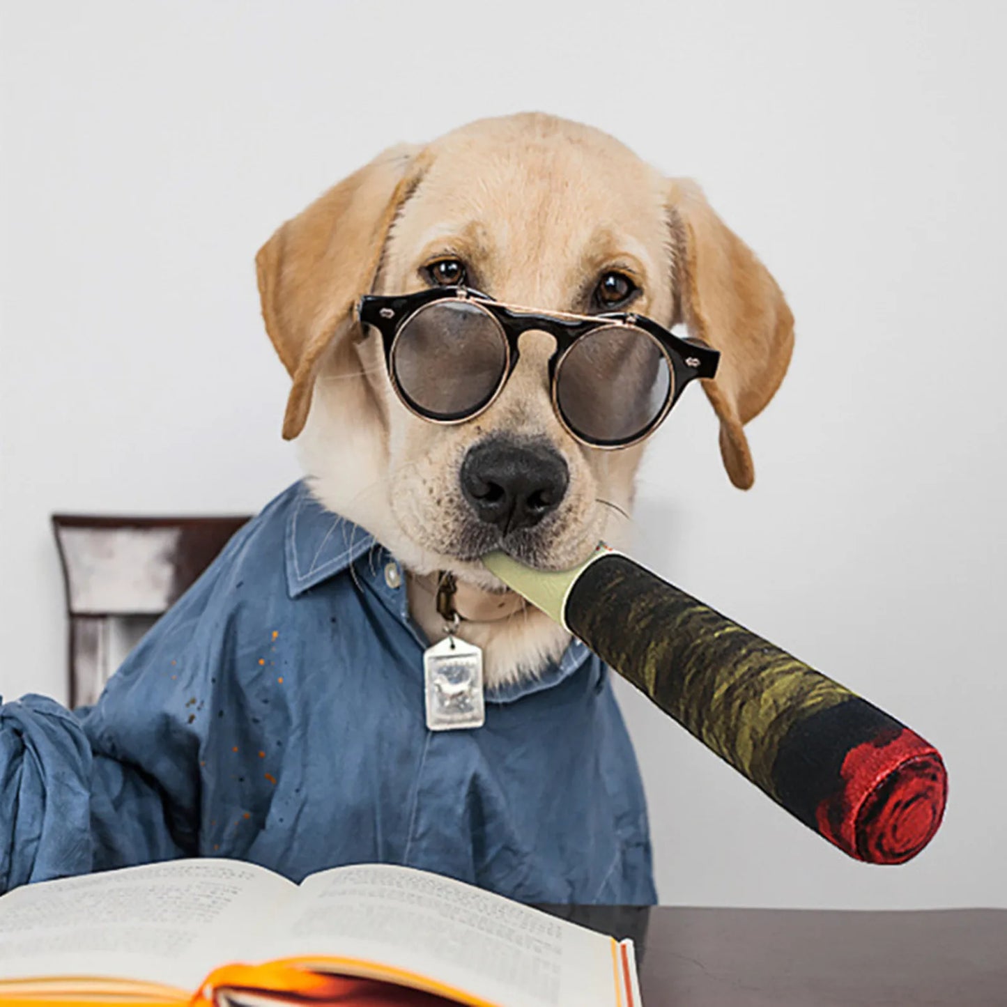 Humorous Stuffed Squeaky Dog Toy