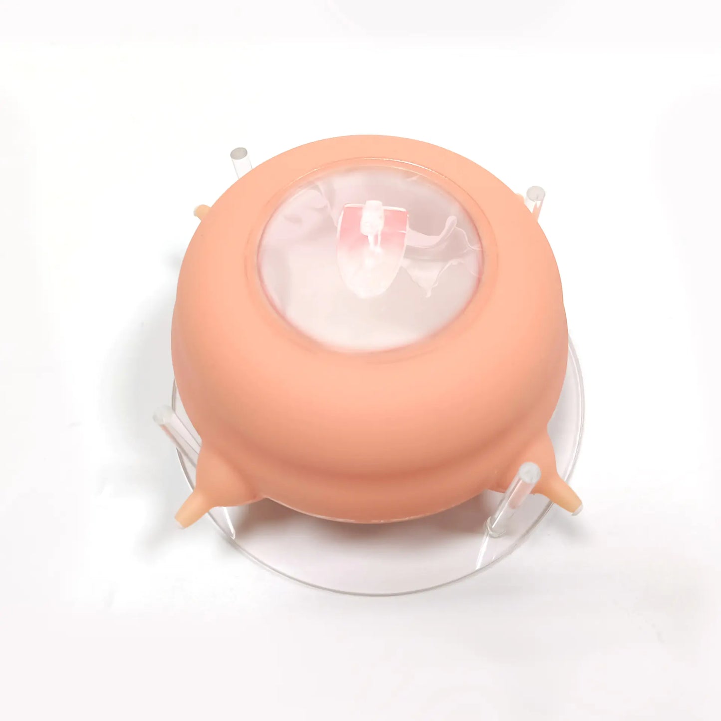 Pet Feeding Bottle (Silicone)
