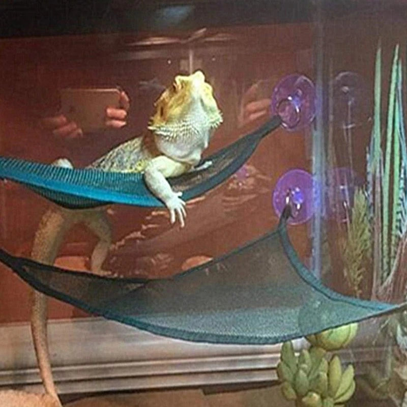 Washable Reptile Hammock Lounger