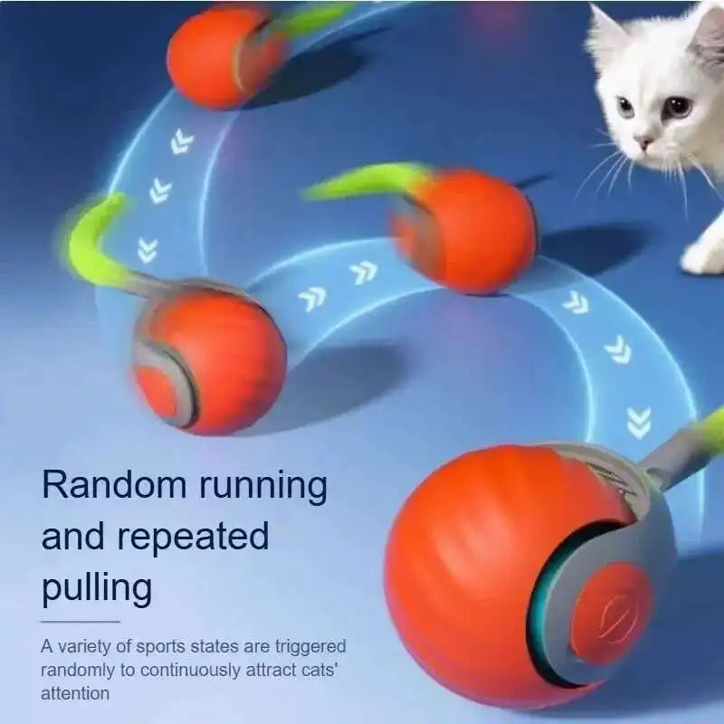 Smart Interactive Pet Ball