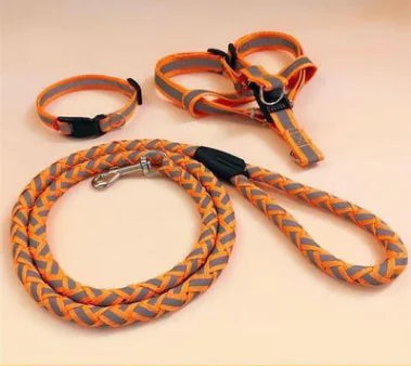Luminous Reflective Pet Leash