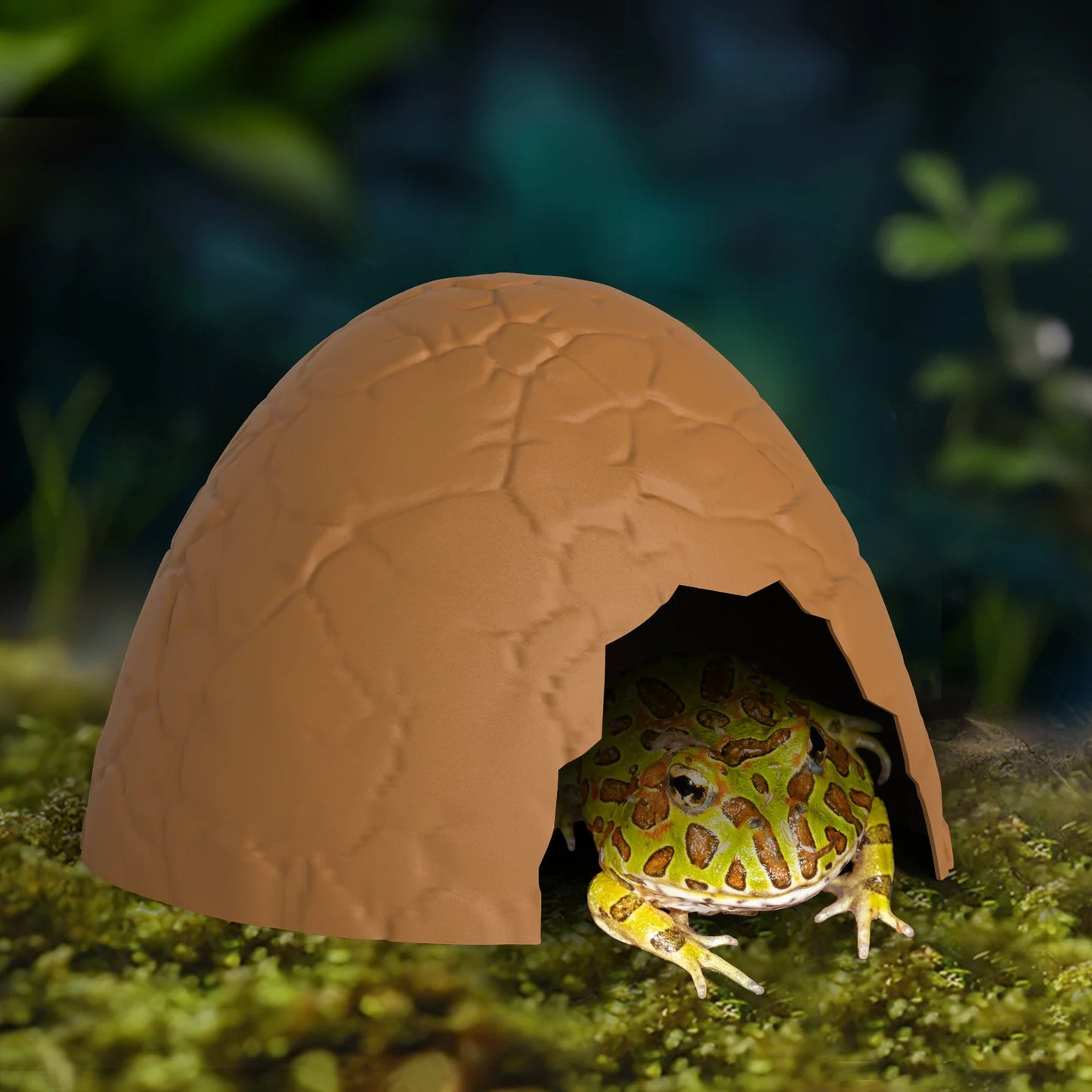 Eggshell Reptile Hideout