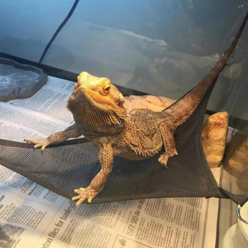 Washable Reptile Hammock Lounger