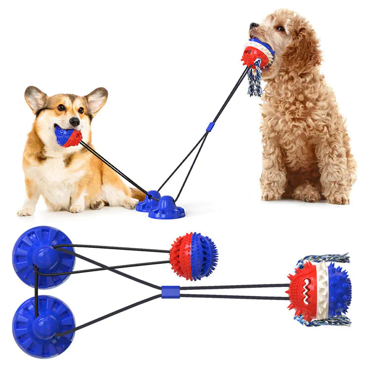 Powerful Suction Dog Toy