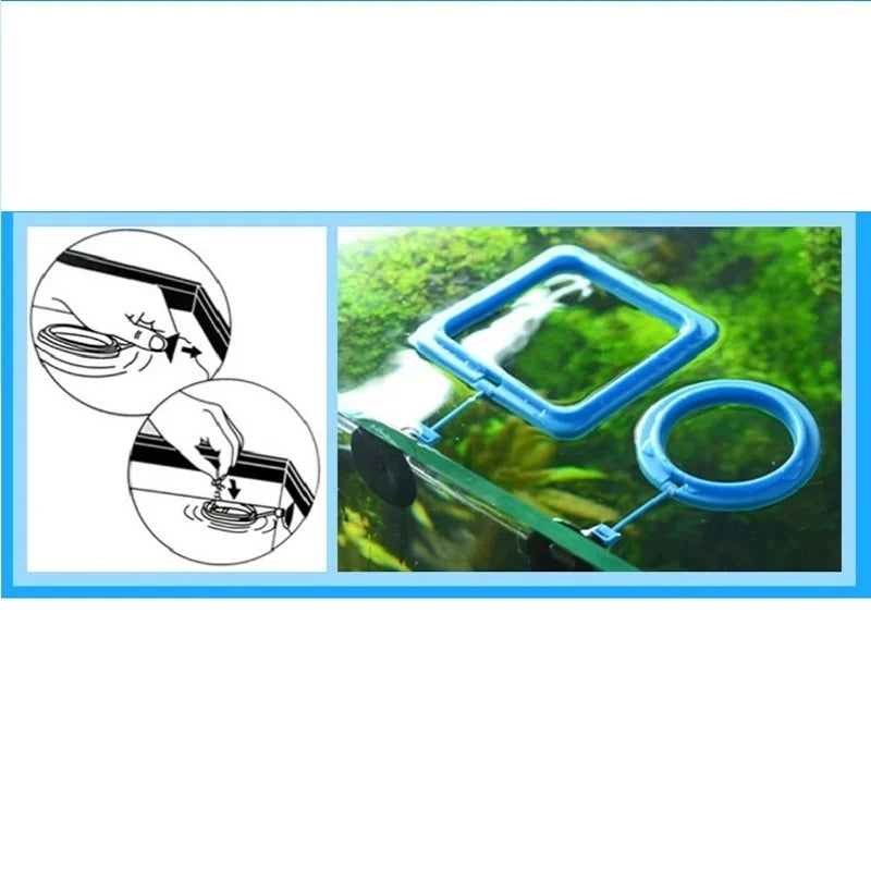 Floating Aquarium Feeding Ring