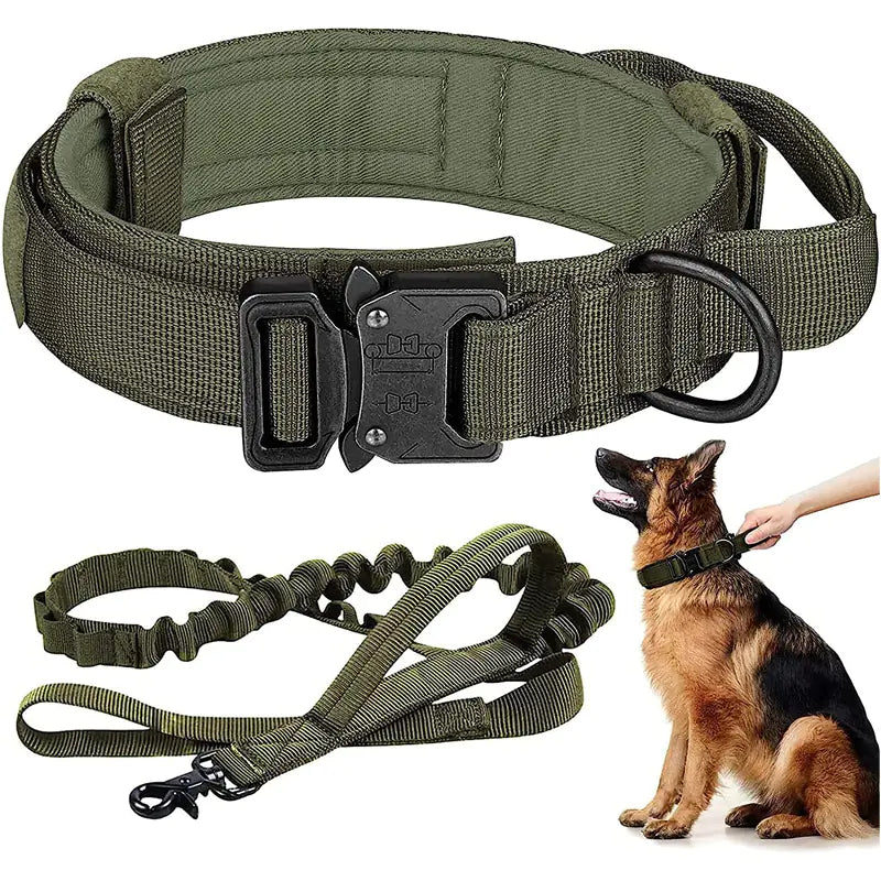 Large Dog Tactical Leash Set
