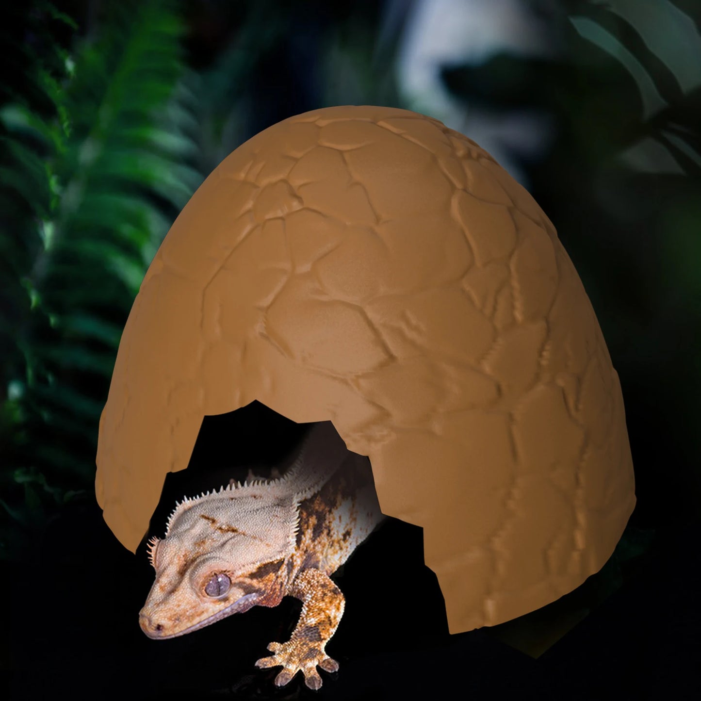 Eggshell Reptile Hideout