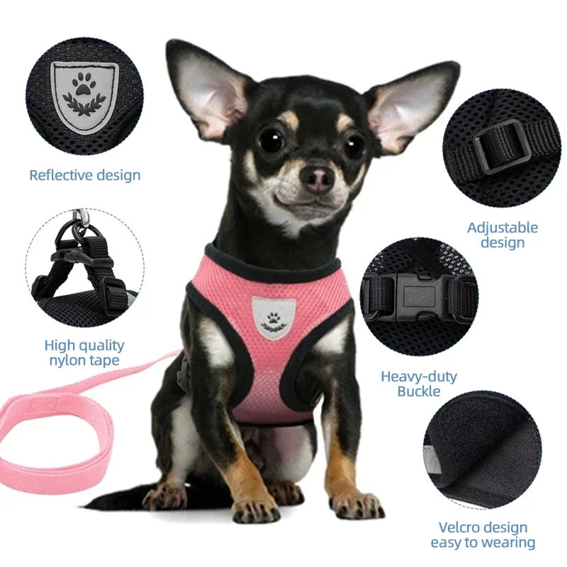 Reflective Pet Harness & Leash