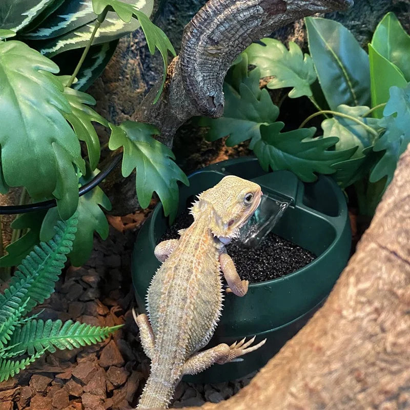 2-in-1 Reptile Fountain Feeder