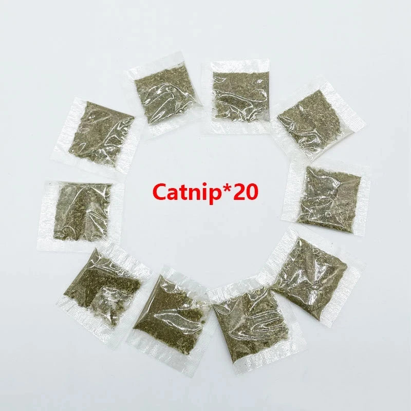 Moving Catnip Fish Toy