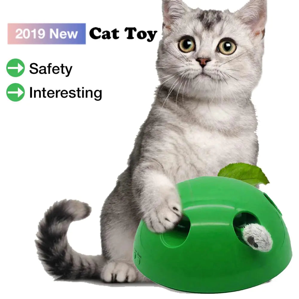 USB Rechargeable Mouse Chase Cat Toy