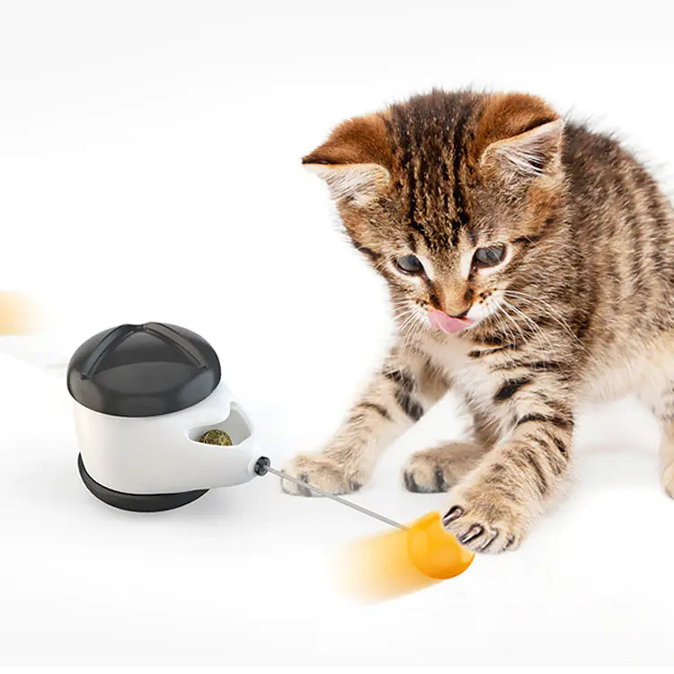Interactive Balance Wobble Cat Toy