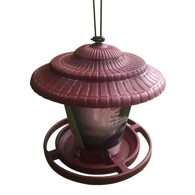 Transparent Hanging Bird Feeder for Indoor/Outdoor Use