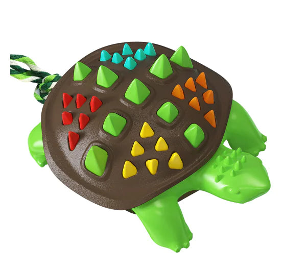 Turtle Dental Chew Toy
