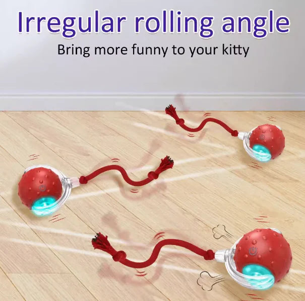 Pet Play Ball (Red)
