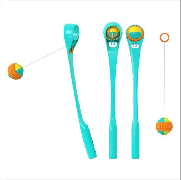Plastic Sport Ball Dog Toy