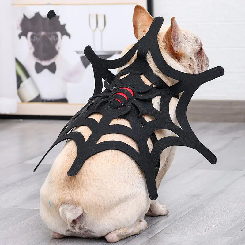 Pet Spider Web Costume