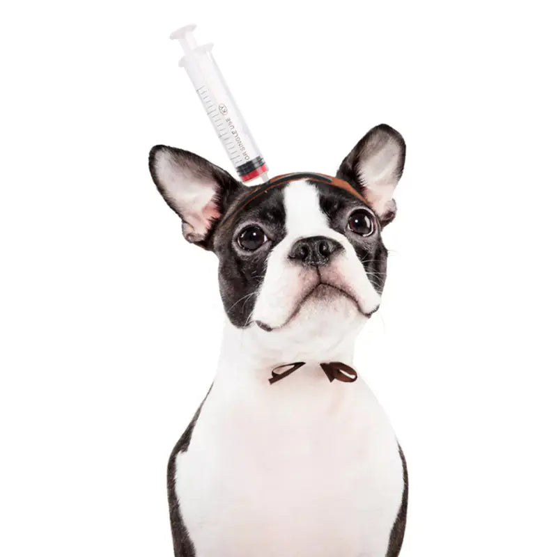 Whimsical Halloween Pet Headwear