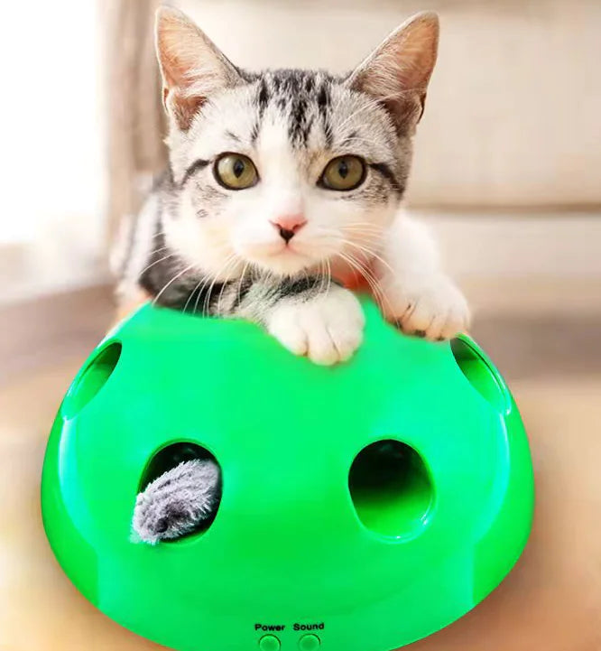 USB Rechargeable Mouse Chase Cat Toy