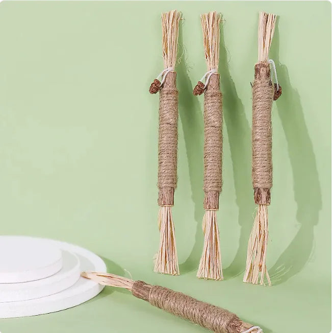 PurrPlay Catnip Dental Stick
