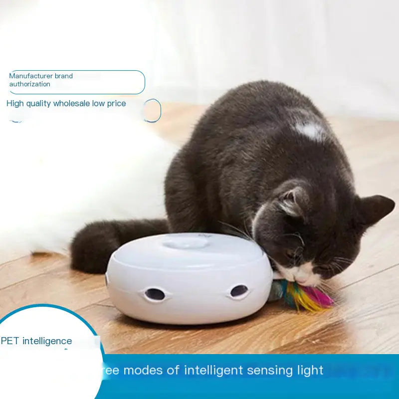 Smart Cat Turntable Play Toy