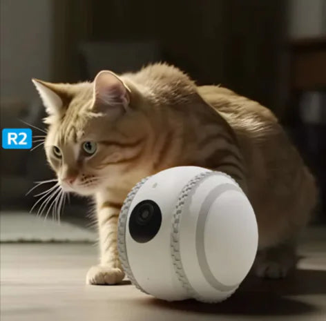 SmartPet Auto Teasing Toy