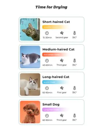 Pet Drying Machine