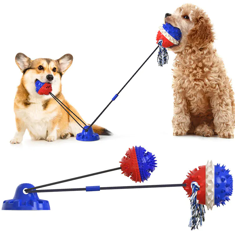Powerful Suction Dog Toy