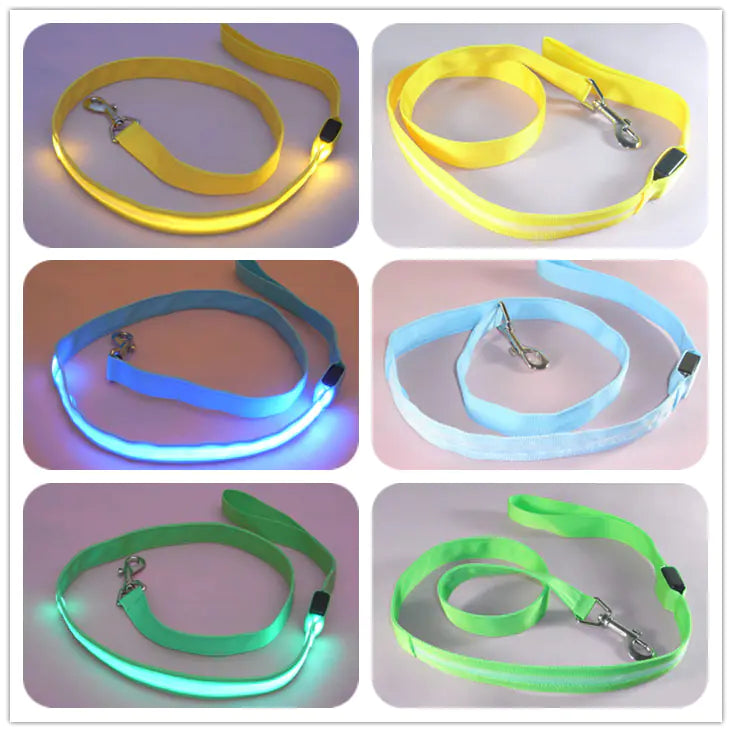 LED Safety Dog Walking Leash