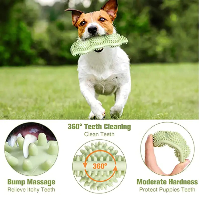 Dog Dental Chew Stick