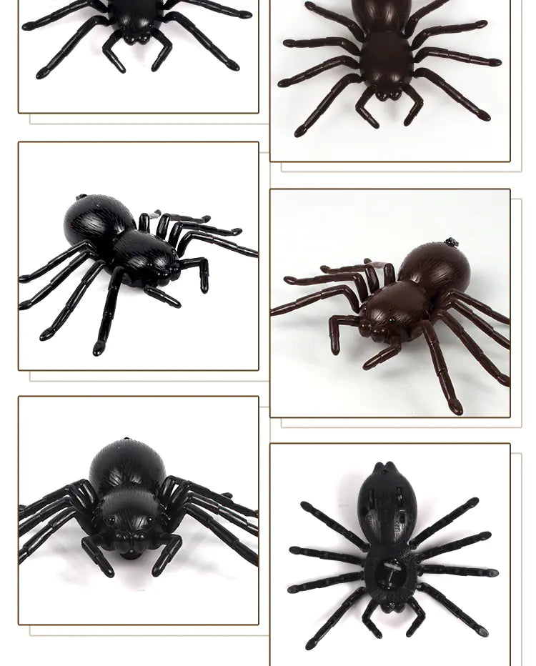 RC Spider Toy (Black/Brown)