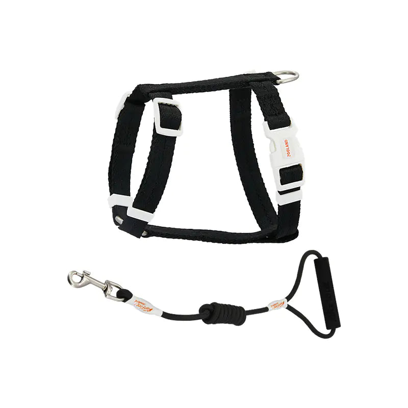 Anti-Breakaway Pet Harness & Leash Set