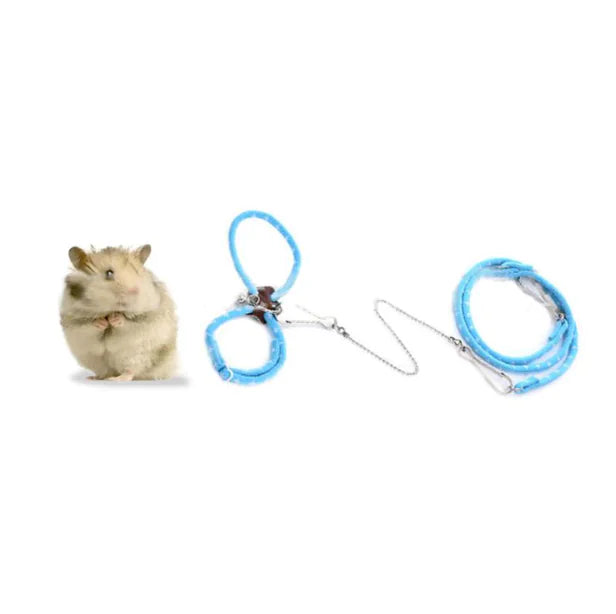 Small Pet Adventure Leash