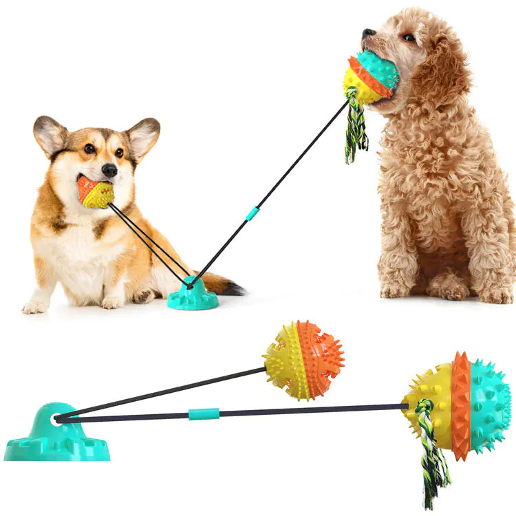 Powerful Suction Dog Toy