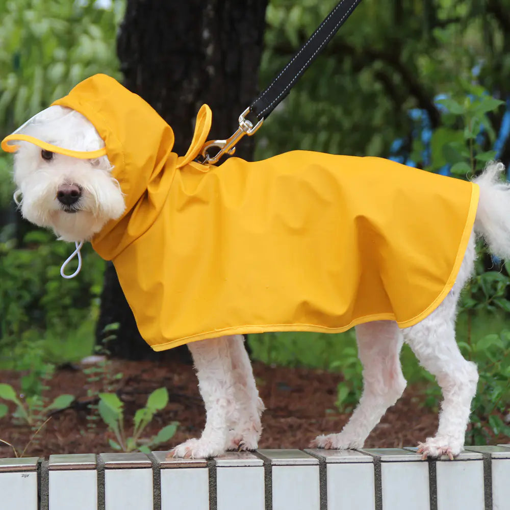 Pet Yellow Rain Slicker