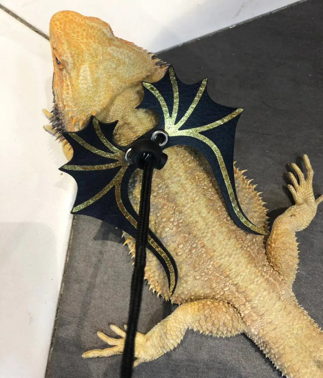 Lizard Leash for Reptiles - Genuine Leather Harness