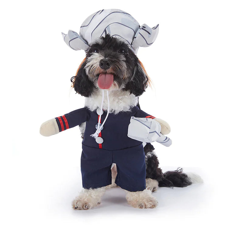 Halloween Dog Outfits