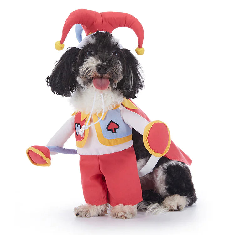 Halloween Dog Outfits