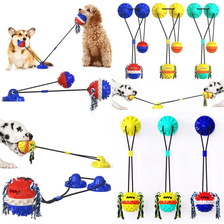 Powerful Suction Dog Toy