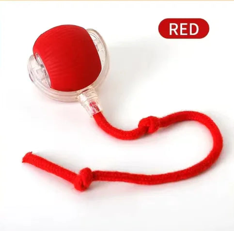 PurrPlay AutoTease Interactive Ball