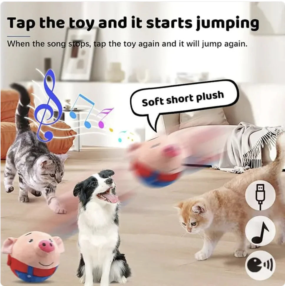 Motion Squeak Dog Ball