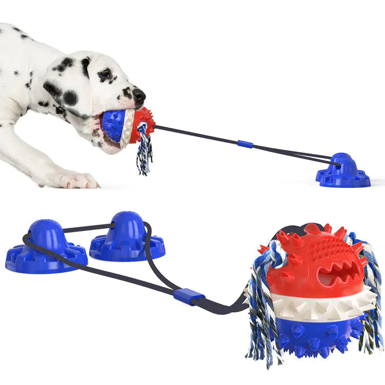 Powerful Suction Dog Toy