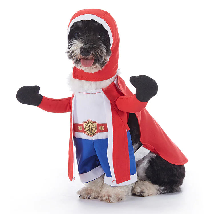 Halloween Dog Outfits