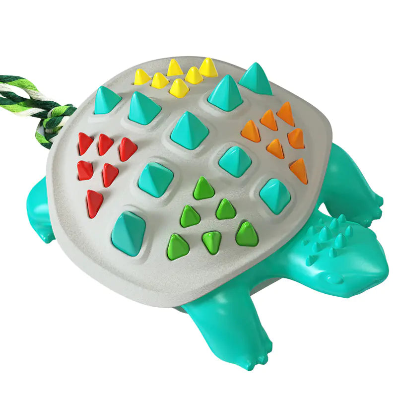 Turtle Dental Chew Toy